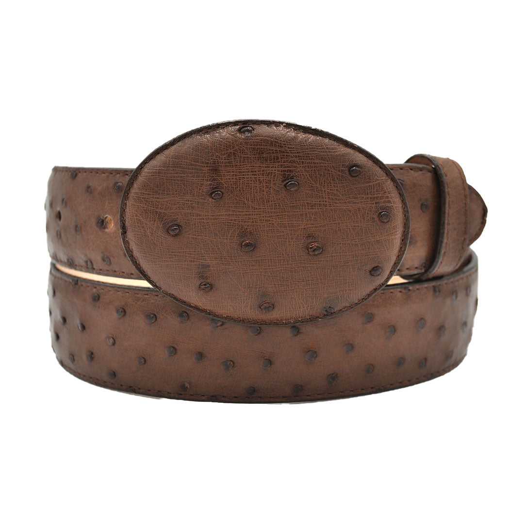 ostrich belts