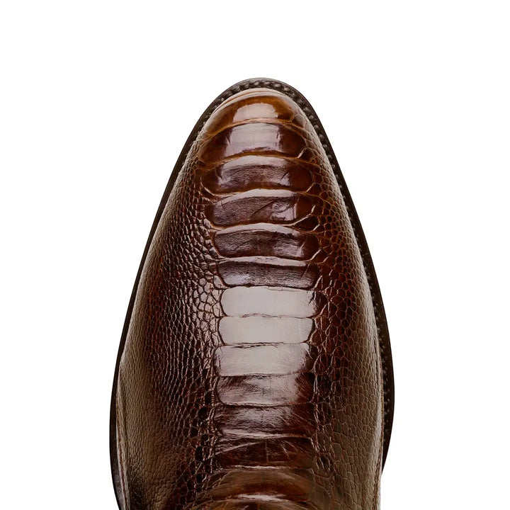 Bota Western clásica de pata de avestruz Collin - Marrón