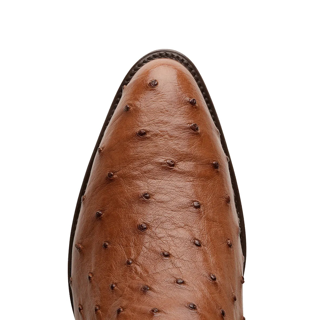 Bota clásica de avestruz Cameron Full Quill - Marrón tabaco