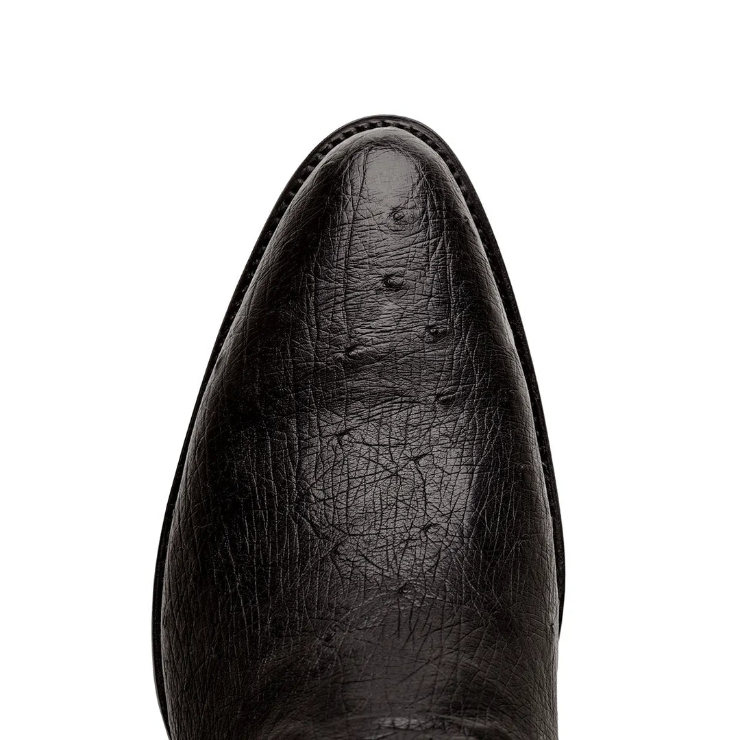 Bota clásica de avestruz Travis - Negra