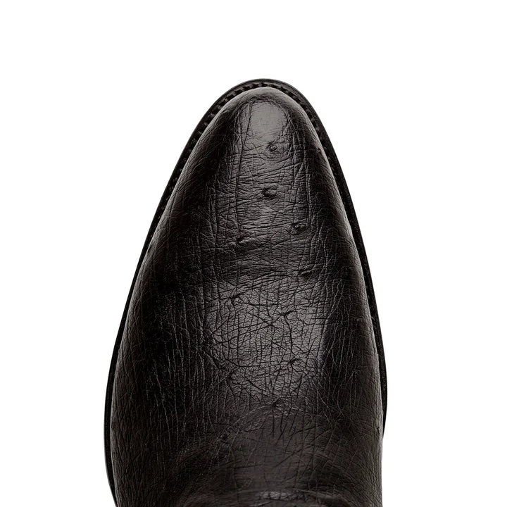 Bota clásica de avestruz Travis - Negra