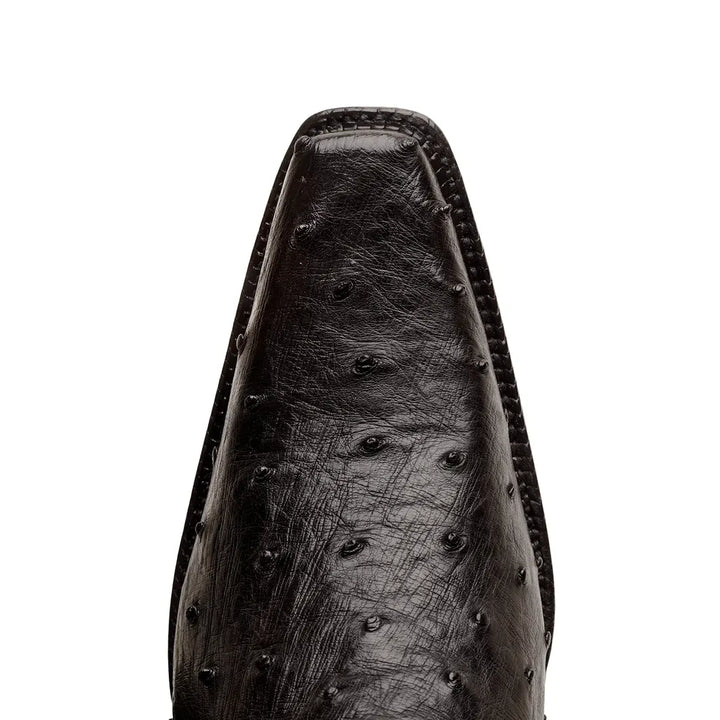 Bota Cortez Full Quill Avestruz Spanish Toe - Negro