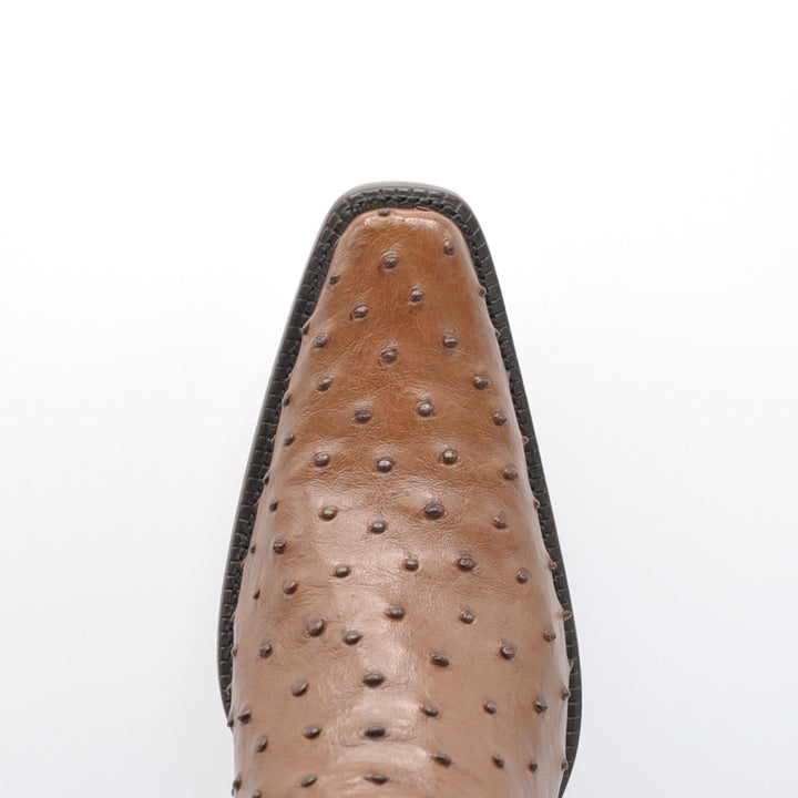 Bota Cortez Full Quill Avestruz Spanish Toe - Marrón Tabaco