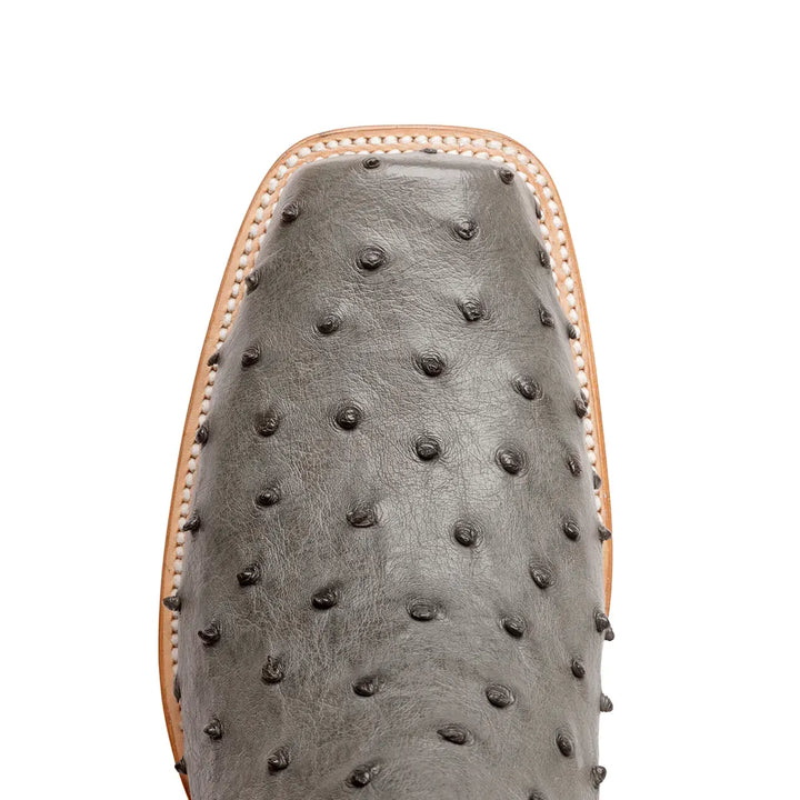 Antonio Full Quill Avestruz Stockman Bota de punta cuadrada - Gris