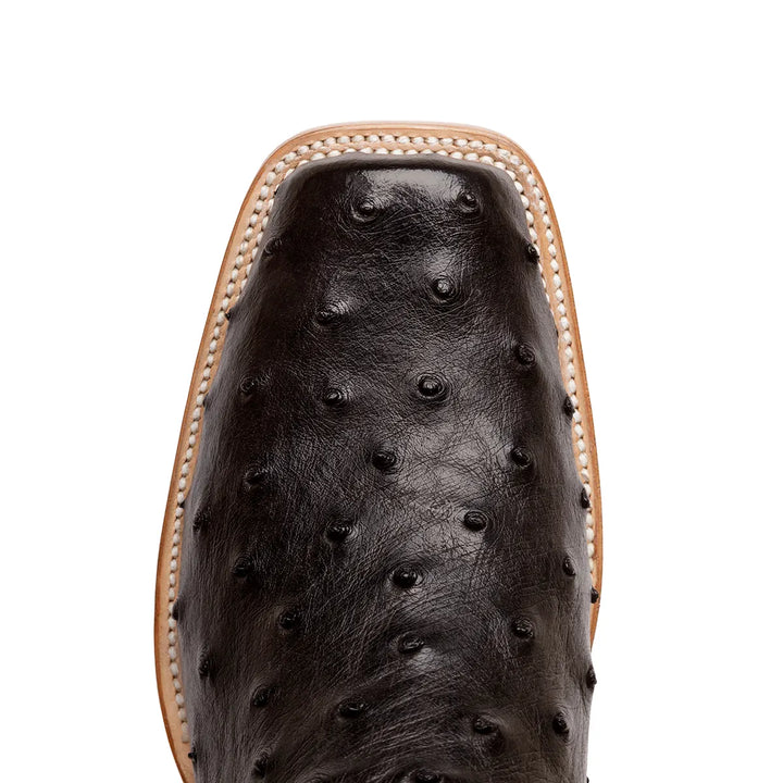 Antonio Full Quill Avestruz Stockman Bota de punta cuadrada - Negro