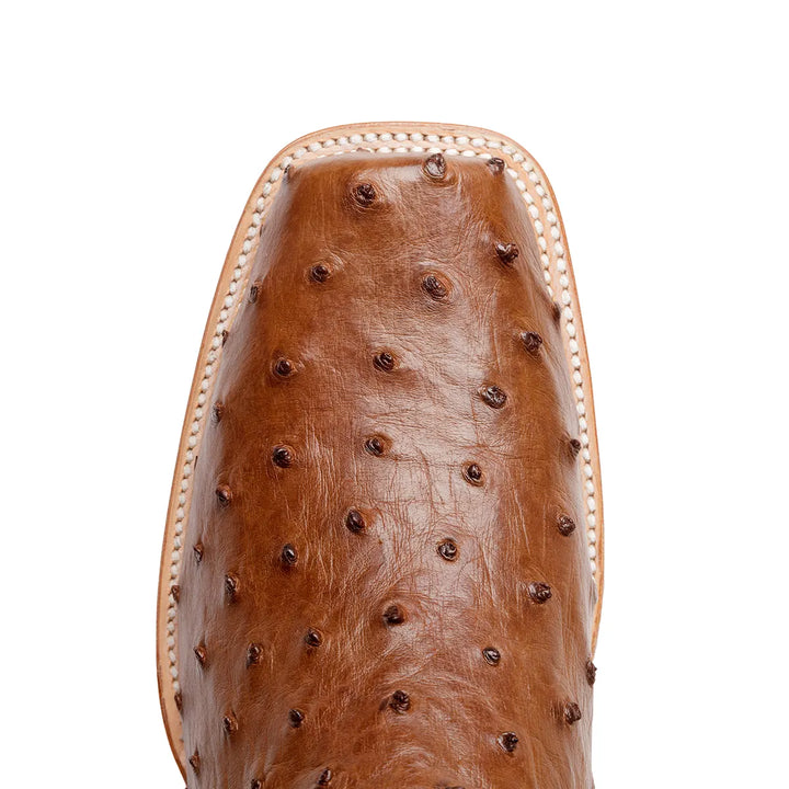 Antonio Full Quill Avestruz Stockman Bota de punta cuadrada - Marrón tabaco
