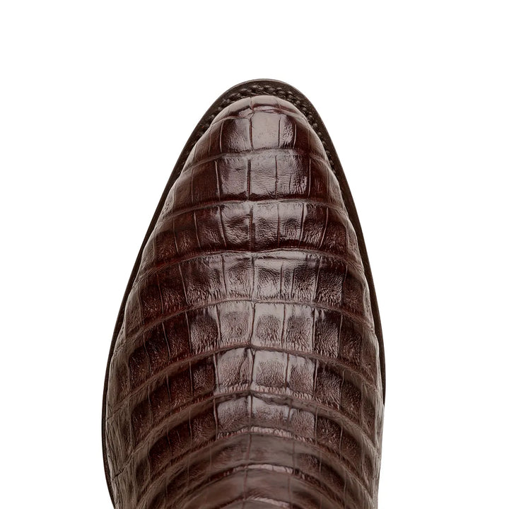 Bota Western Harris Caiman Belly Classic - Marrón