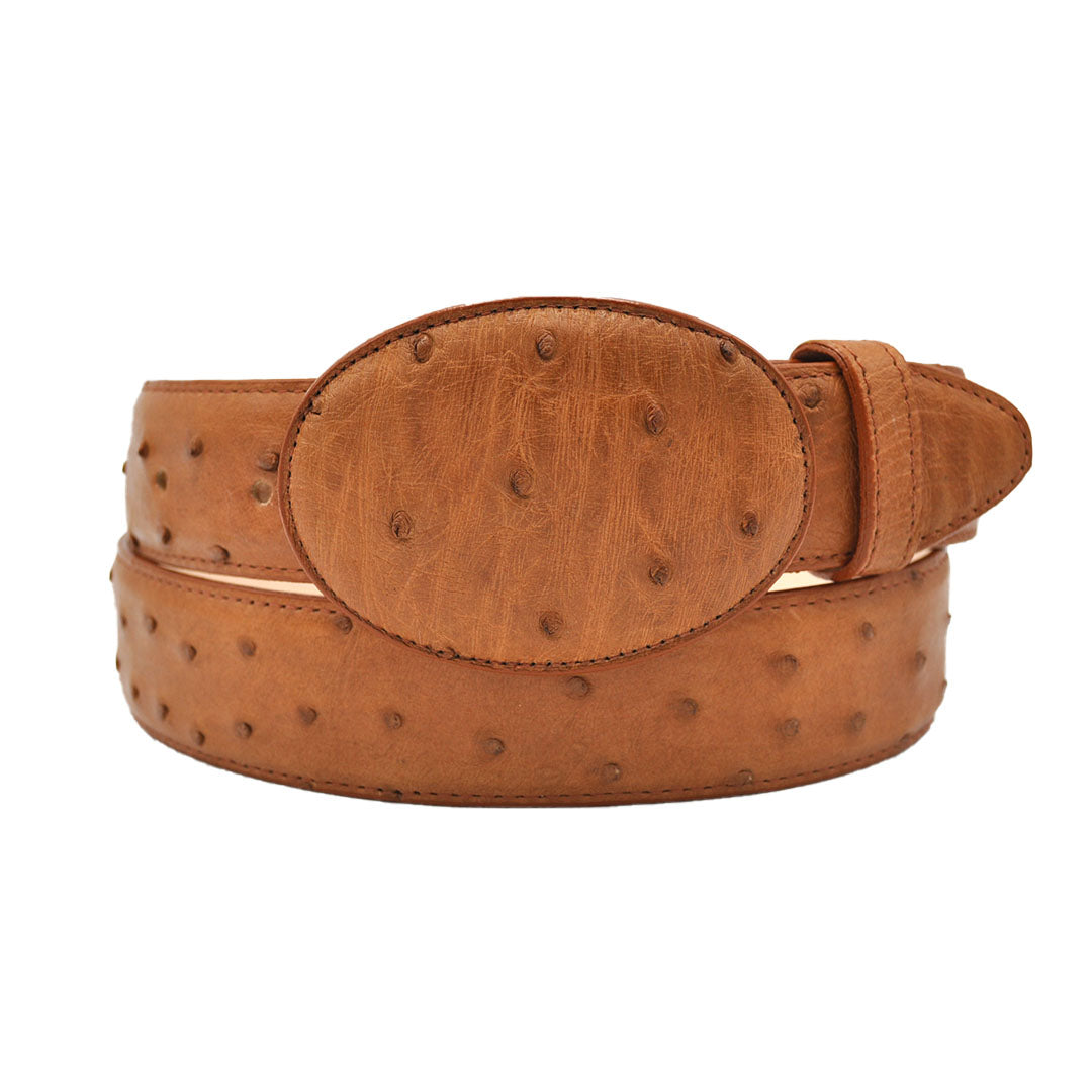 Gavel Full Quill Ostrich Western Belt - Cognac