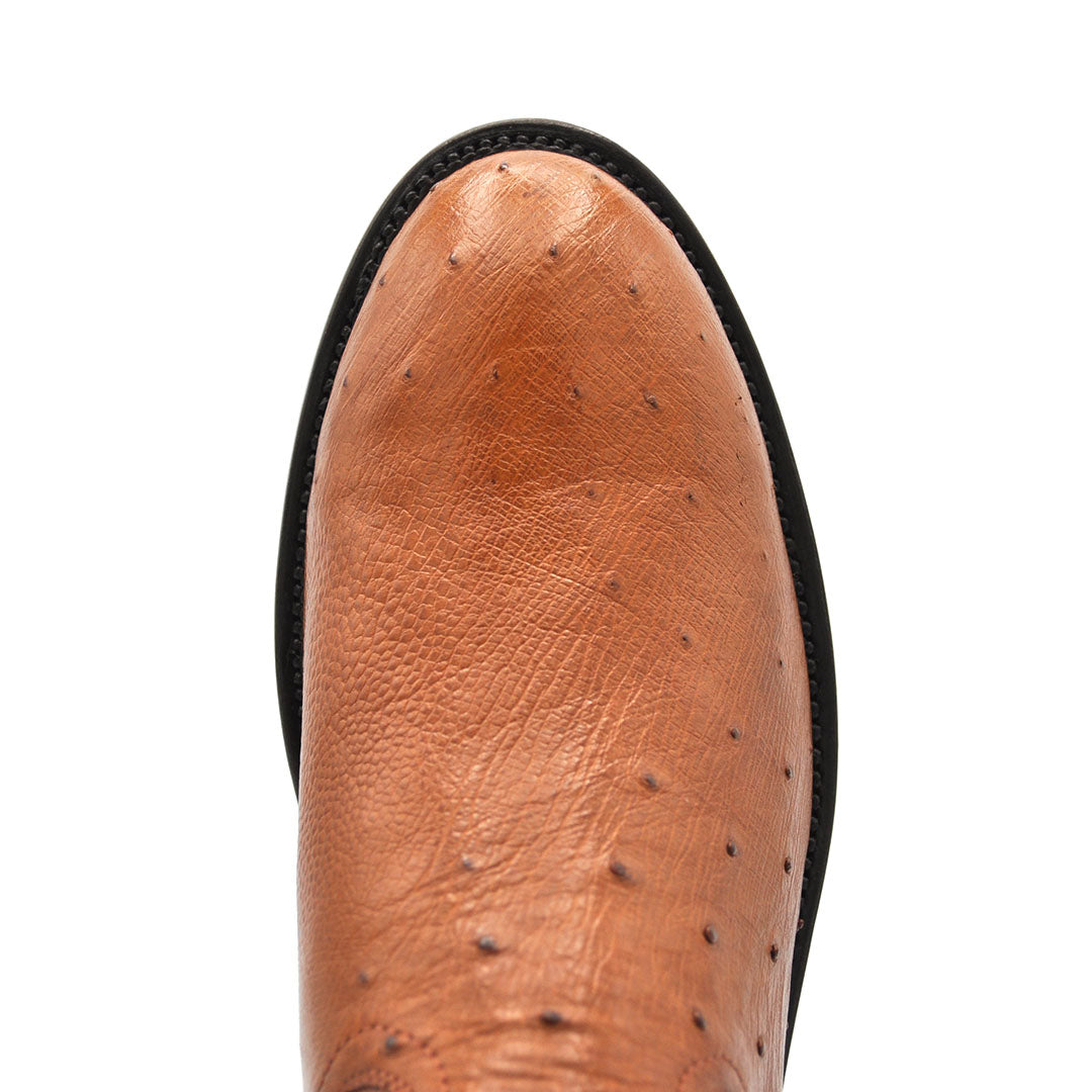 Galveston Smooth Ostrich Roper Boot - Cognac