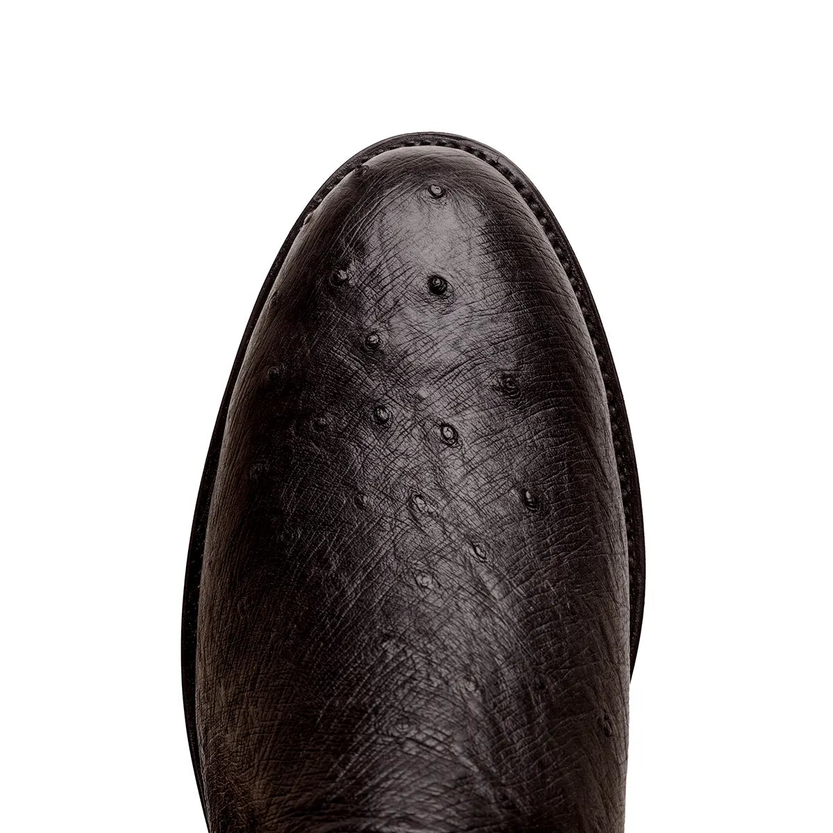 Galveston Smooth Ostrich Roper Boot - Black