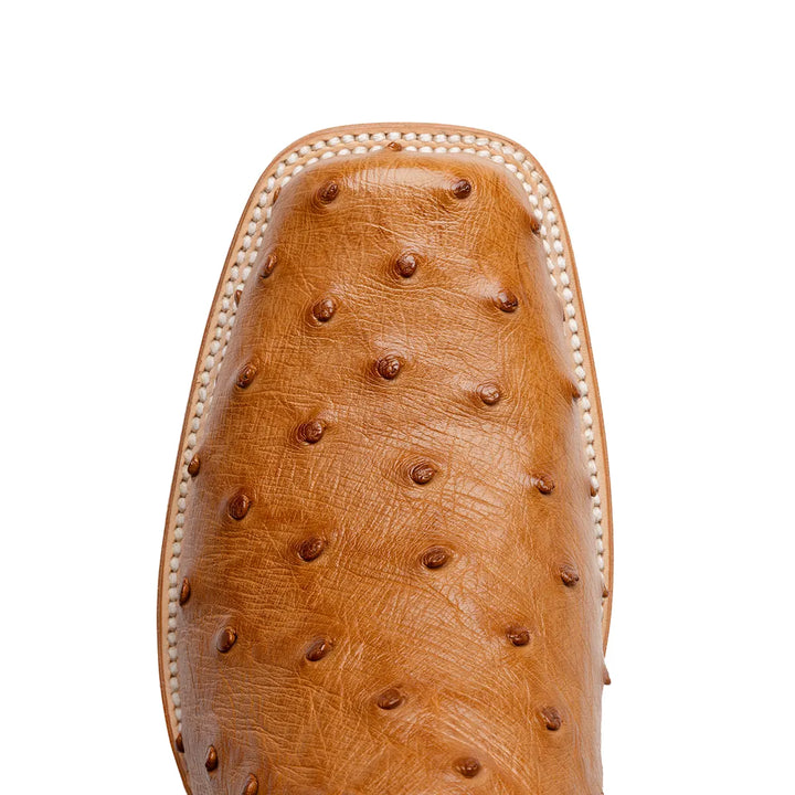 Antonio Full Quill Ostrich Stockman Square Toe Boot - Cognac