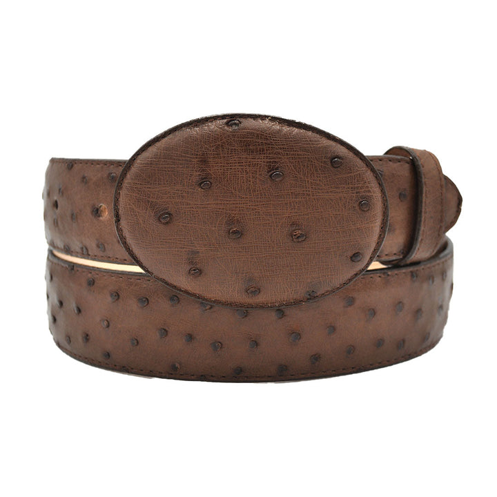 Gavel Full Quill Ostrich Western Belt - Tobacco